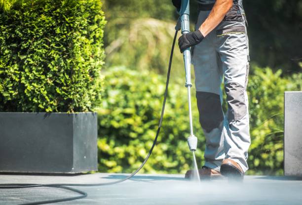 Best Fence Cleaning  in Alta, IA