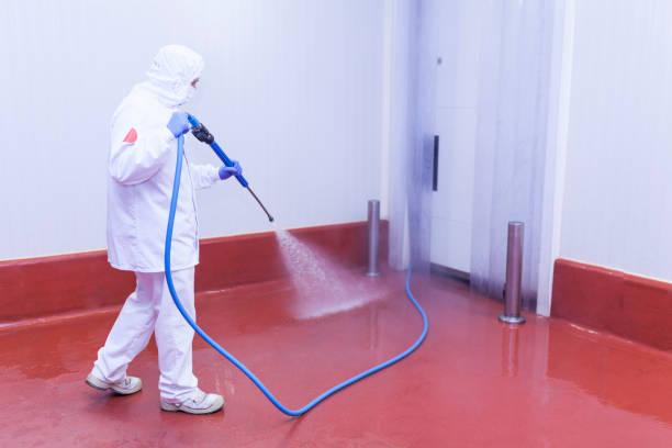 Best Concrete Sealing  in Alta, IA