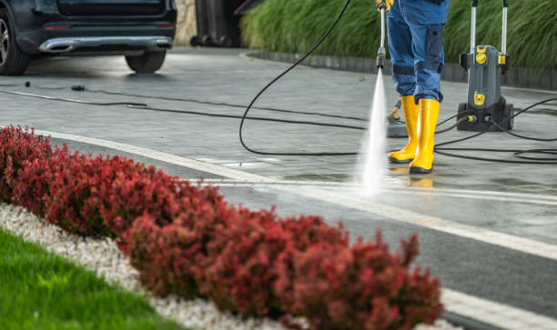 Best House Exterior Washing  in Alta, IA